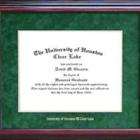 UH - Clear Lake Classic Diploma Frame in Green Suede
