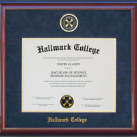 Hallmark College Designer Diploma Frame