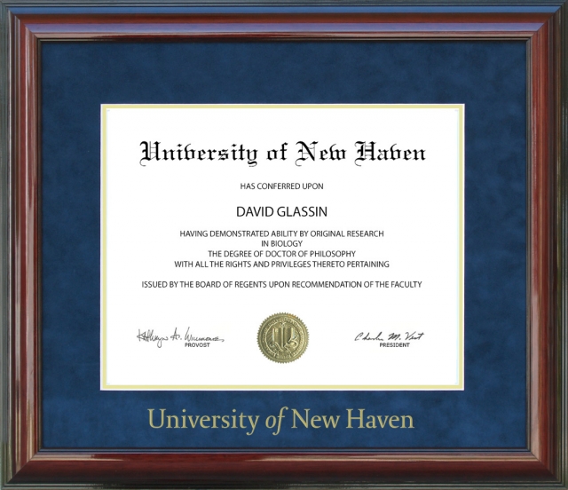 University of New Haven (UNH) (CT) Diploma Frames | Frames of Achievement